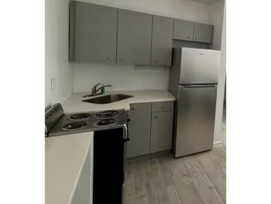 Fully operational, income-producing property with four active - photo 5