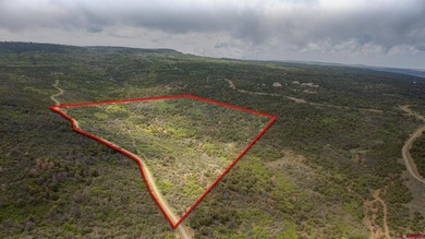 (private lake, pond, creek) Acreage For Sale in Glade Park Colorado