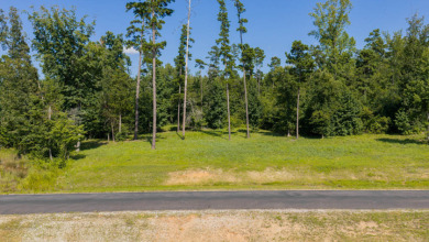 Dreaming of lake life? Lot 53 at Big Rock Lake offers 1.32 acres - photo 15