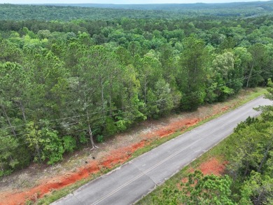 Lake Lot For Sale in Fortson, Georgia