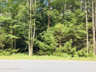 Lake Lot For Sale in Pocono Pines, Pennsylvania