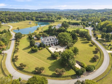The Grandeur of the Southern Plantation. Nestled upon 4.5 level - photo 4