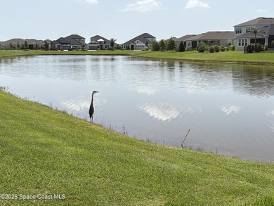 Beautifully maintained 2024 waterfront home in desirable Pangea - photo 34