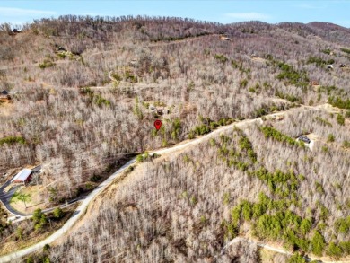 Almost 1 acre Lot with Norris Lake Access - photo 17