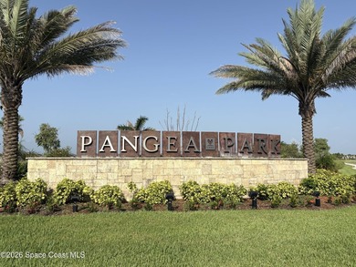 Beautifully maintained 2024 waterfront home in desirable Pangea - photo 49