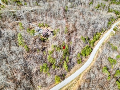 Almost 1 acre Lot with Norris Lake Access - photo 9