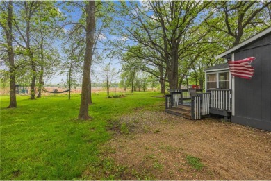 Lake Home For Sale in Harrison Twp, Minnesota