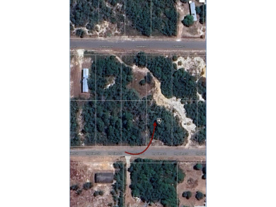 Lake Grassy Lot For Sale in Lake Placid Florida