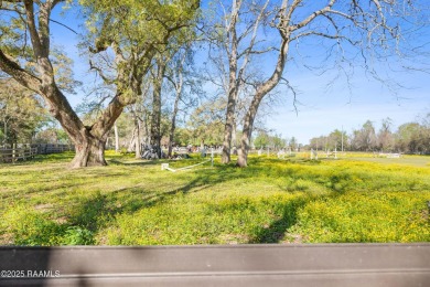 Did you say 3.3 Acres in Le Triomphe? You read that right! - photo 7
