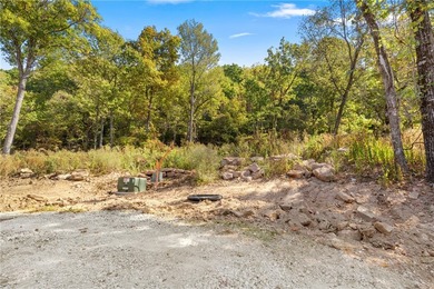 The groundwork is already done for you! This lot comes fully - photo 29