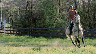 Did you say 3.3 Acres in Le Triomphe? You read that right! - photo 9