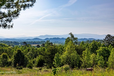 Tellico Lake Acreage For Sale in Madisonville Tennessee