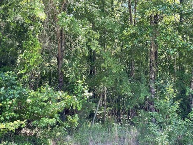 Dreaming of a peaceful getaway near the lake? This beautiful - photo 4