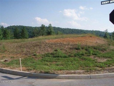 Large corner lot, perfect for a walk out basement type home - Lake Lot For Sale in Rockwood, Tennessee