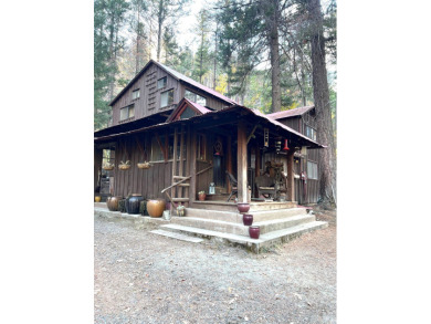 Klamath River - Siskiyou County Home For Sale in Horse Creek California