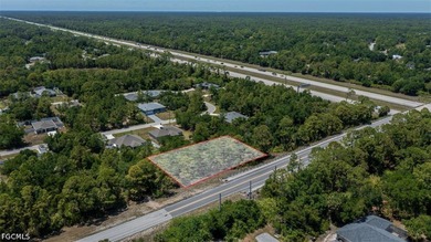 Rare oversized double lot opportunity in North Port - These two - photo 3