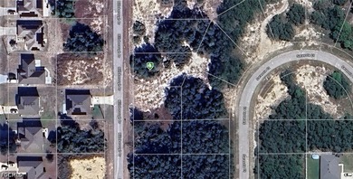 Lake Marion - Polk County Lot For Sale in Kissimmee Florida