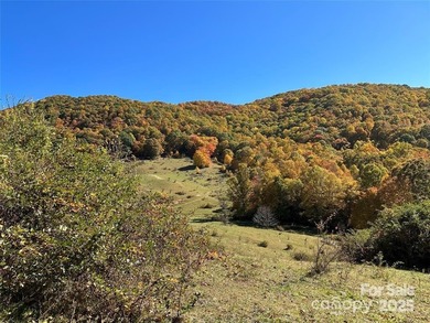 (private lake, pond, coastal) Acreage Active Under Contract in Clyde North Carolina