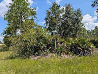 Lake Lot For Sale in Indian Lake Estates, Florida