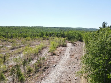 SECLUDED OFF-GRID LAND WITH DIRECT ACCESS TO ITS 87 SNOWMOBILE - photo 11