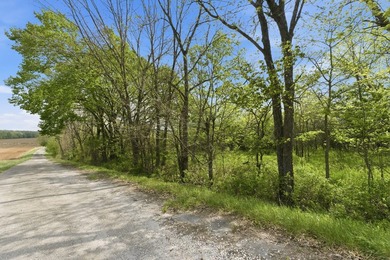 This is a bold statement, but this 29 acre tract consistently - photo 2