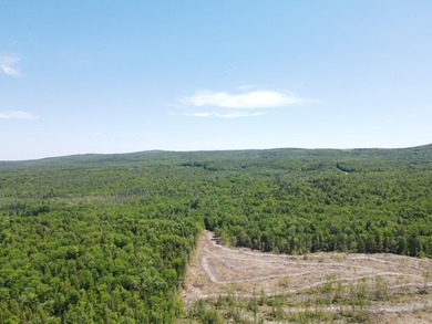 SECLUDED OFF-GRID LAND WITH DIRECT ACCESS TO ITS 87 SNOWMOBILE - photo 12