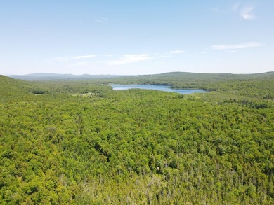 SECLUDED OFF-GRID LAND WITH DIRECT ACCESS TO ITS 87 SNOWMOBILE - photo 13