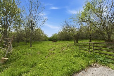 This is a bold statement, but this 29 acre tract consistently - photo 4