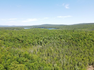 SECLUDED OFF-GRID LAND WITH DIRECT ACCESS TO ITS 87 SNOWMOBILE - photo 14