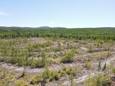 SECLUDED OFF-GRID LAND WITH DIRECT ACCESS TO ITS 87 SNOWMOBILE - photo 15