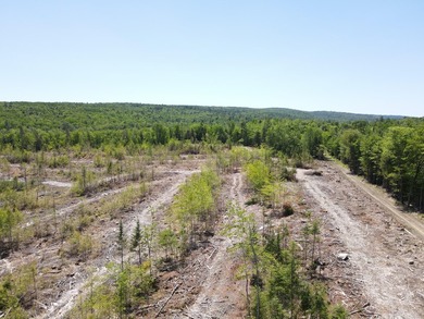 SECLUDED OFF-GRID LAND WITH DIRECT ACCESS TO ITS 87 SNOWMOBILE - photo 16