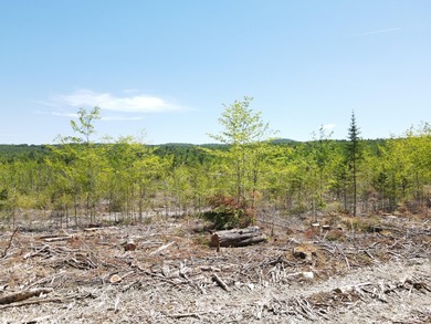 SECLUDED OFF-GRID LAND WITH DIRECT ACCESS TO ITS 87 SNOWMOBILE - photo 17