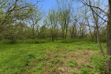 This is a bold statement, but this 29 acre tract consistently - photo 8