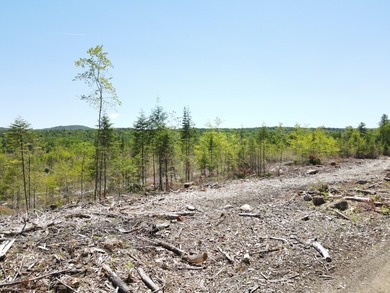 SECLUDED OFF-GRID LAND WITH DIRECT ACCESS TO ITS 87 SNOWMOBILE - photo 18