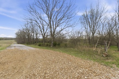 This is a bold statement, but this 29 acre tract consistently - photo 9