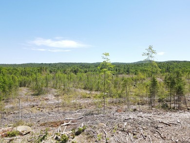 SECLUDED OFF-GRID LAND WITH DIRECT ACCESS TO ITS 87 SNOWMOBILE - photo 19