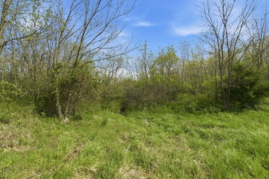 This is a bold statement, but this 29 acre tract consistently - photo 10