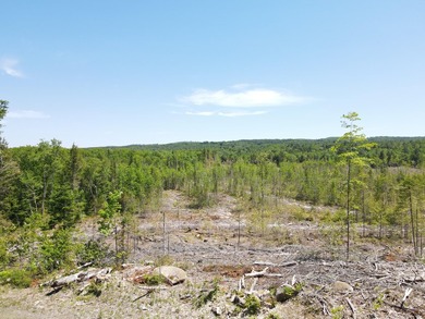 SECLUDED OFF-GRID LAND WITH DIRECT ACCESS TO ITS 87 SNOWMOBILE - photo 20