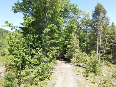 SECLUDED OFF-GRID LAND WITH DIRECT ACCESS TO ITS 87 SNOWMOBILE - photo 21