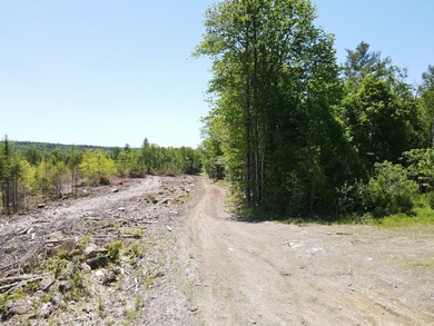 SECLUDED OFF-GRID LAND WITH DIRECT ACCESS TO ITS 87 SNOWMOBILE - photo 22