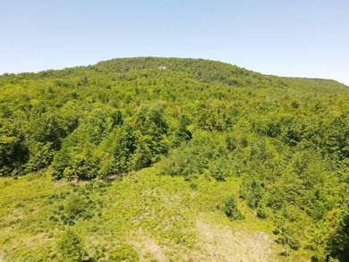 SECLUDED OFF-GRID LAND WITH DIRECT ACCESS TO ITS 87 SNOWMOBILE - photo 23