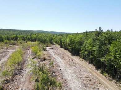 SECLUDED OFF-GRID LAND WITH DIRECT ACCESS TO ITS 87 SNOWMOBILE - photo 24