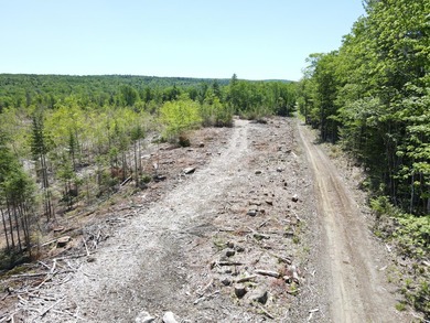 SECLUDED OFF-GRID LAND WITH DIRECT ACCESS TO ITS 87 SNOWMOBILE - photo 25