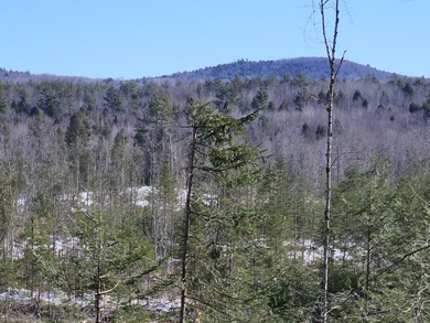 SECLUDED OFF-GRID LAND WITH DIRECT ACCESS TO ITS 87 SNOWMOBILE - photo 26