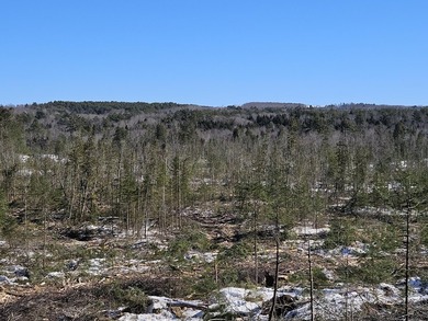 SECLUDED OFF-GRID LAND WITH DIRECT ACCESS TO ITS 87 SNOWMOBILE - photo 27