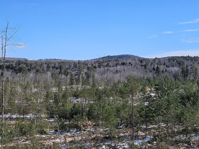 SECLUDED OFF-GRID LAND WITH DIRECT ACCESS TO ITS 87 SNOWMOBILE - photo 28