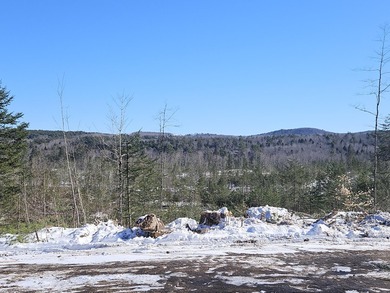 SECLUDED OFF-GRID LAND WITH DIRECT ACCESS TO ITS 87 SNOWMOBILE - photo 29