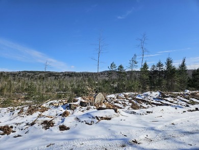 SECLUDED OFF-GRID LAND WITH DIRECT ACCESS TO ITS 87 SNOWMOBILE - photo 31