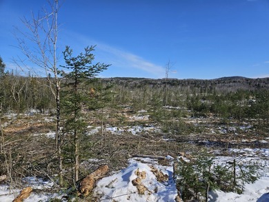 SECLUDED OFF-GRID LAND WITH DIRECT ACCESS TO ITS 87 SNOWMOBILE - photo 32