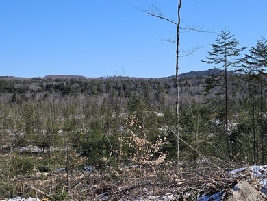 SECLUDED OFF-GRID LAND WITH DIRECT ACCESS TO ITS 87 SNOWMOBILE - photo 33